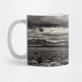 Bleak skies in Patagonia Mug